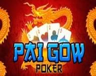 1413512531_pokerpaigow.jpeg